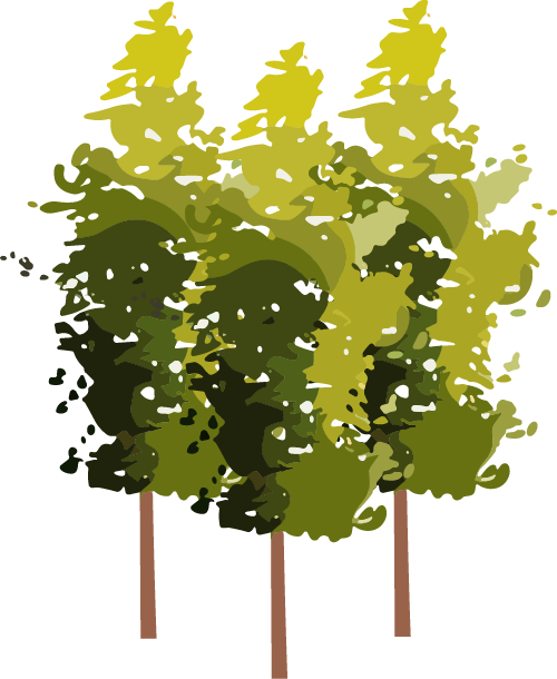 illustrerat träd